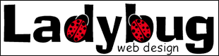 Ladybug Web Design